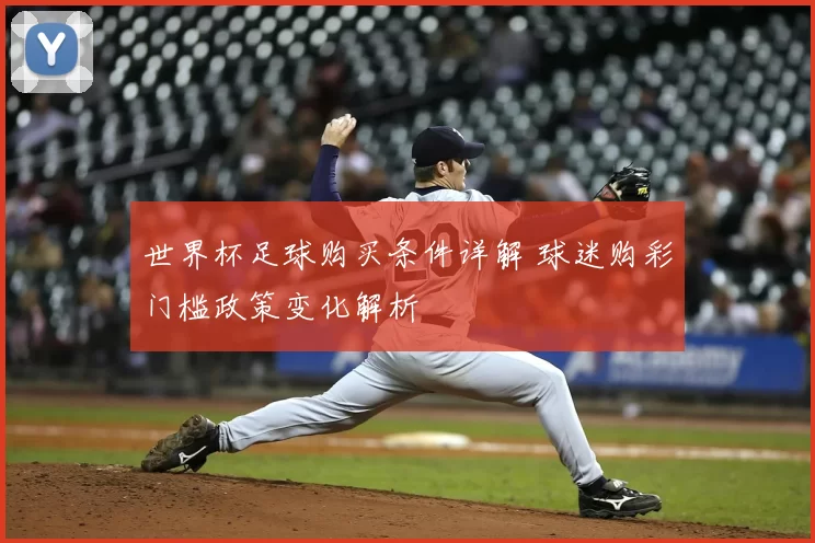 世界杯足球购买条件详解 球迷购彩门槛政策变化解析