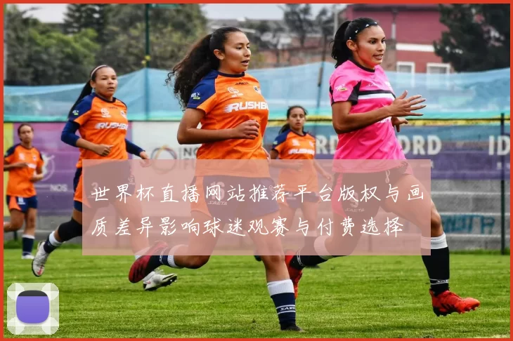 世界杯直播网站推荐平台版权与画质差异影响球迷观赛与付费选择