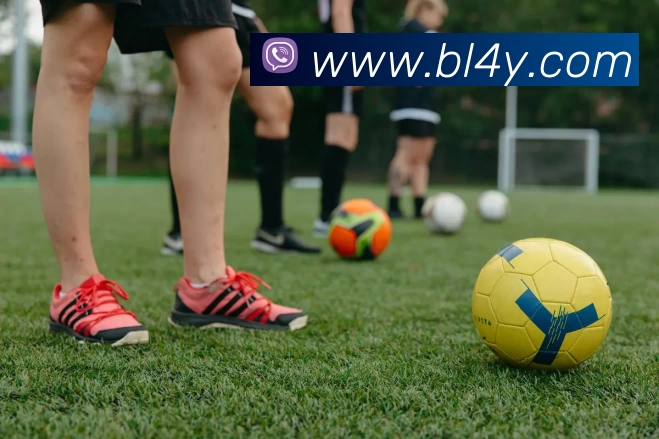 博亚体育官方网站首页 - 博亚(中国)发展历程